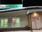 Аптека (rabochiy posyolok Sheksna, mikrorayon Sheksna Severnaya, ulitsa Truda, 1А), pharmacy
