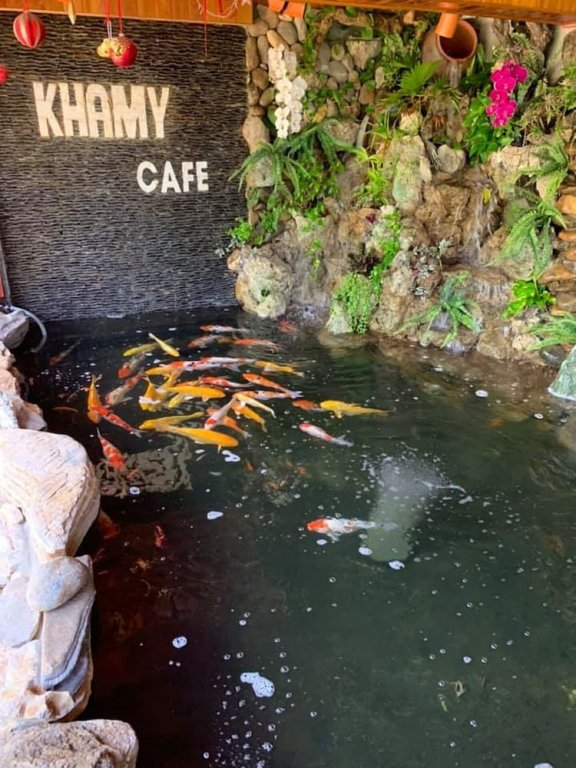 Фото Khamy Riverside Resort