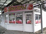 Tsvety (Bryansk Urban District, Bezhitskiy City Administrative District, ulitsa Kuybysheva, 1) ، محل زهور