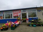 Цветочная лавка (Prigorodnaya ulitsa, 195Г), flowers and bouquets delivery