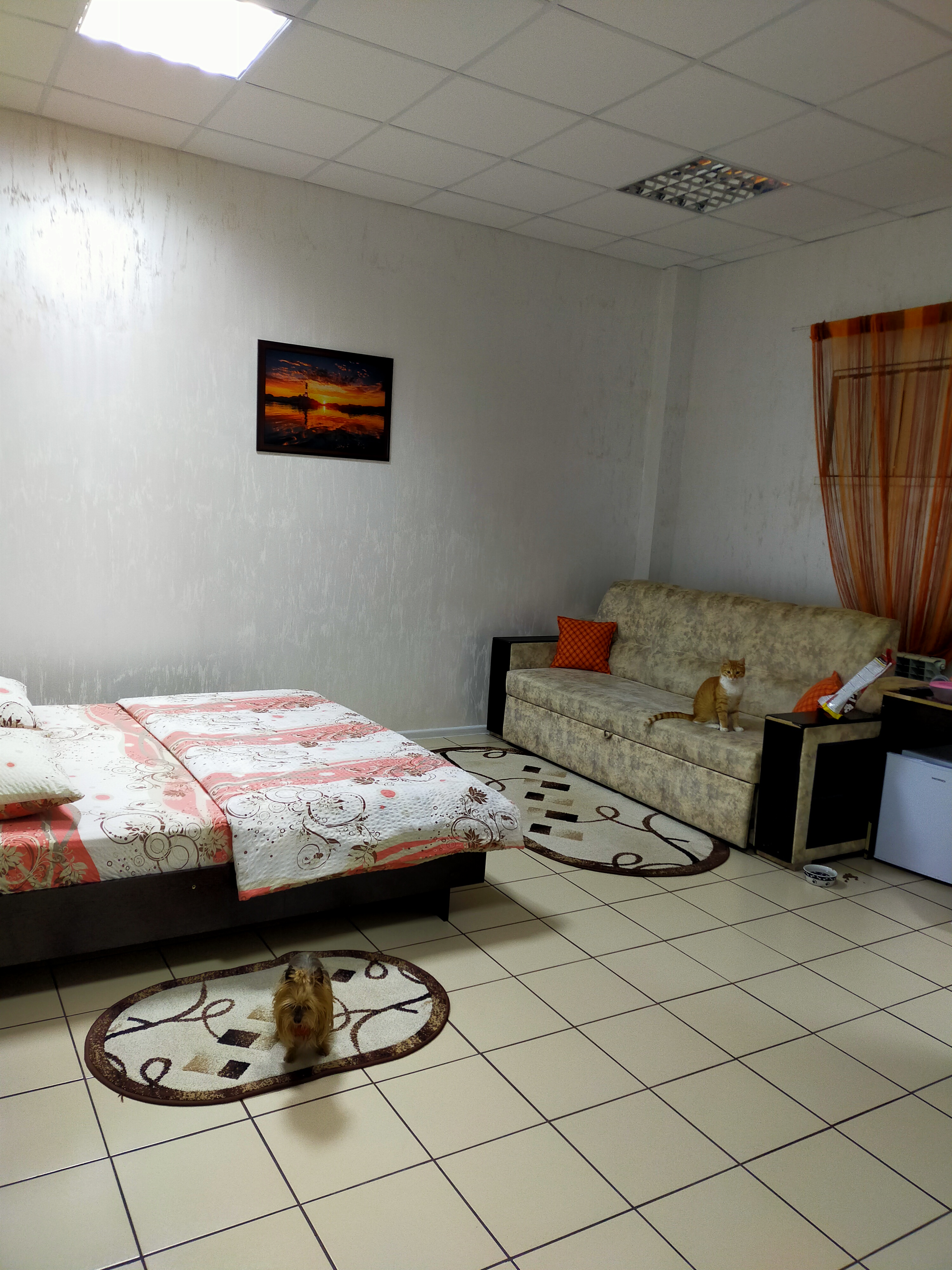 Фото Солнечный