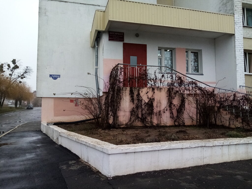Dormitory Obshchezhitiye UO Mozyrsky Gosudarstvenny Muzykalny kolledzh, Mozyr, photo
