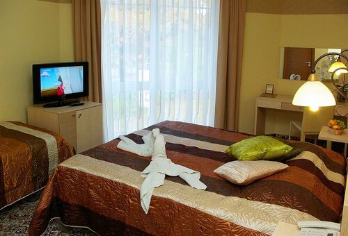 Гостиница Hotel Pils в Цесисе