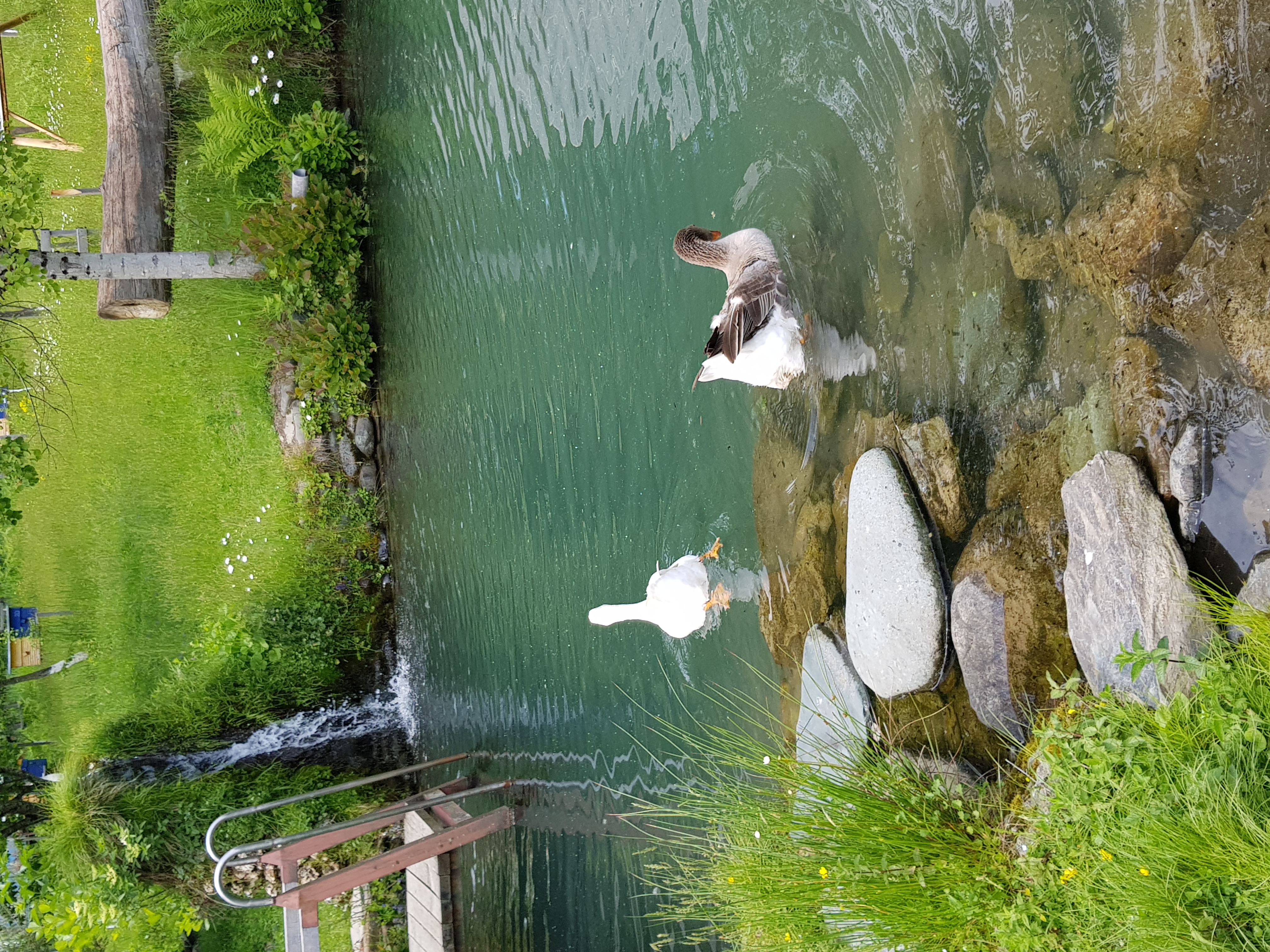 Фото Рыбино