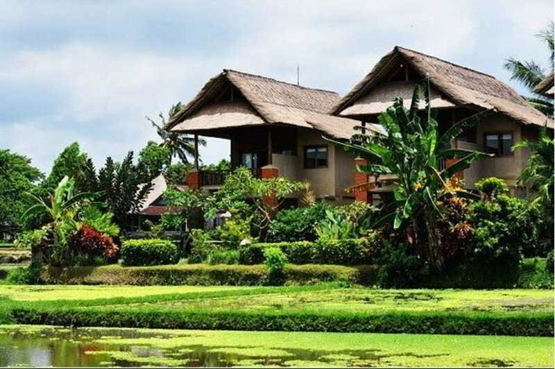 Hotel Alamanda Accomodation, Bali, photo