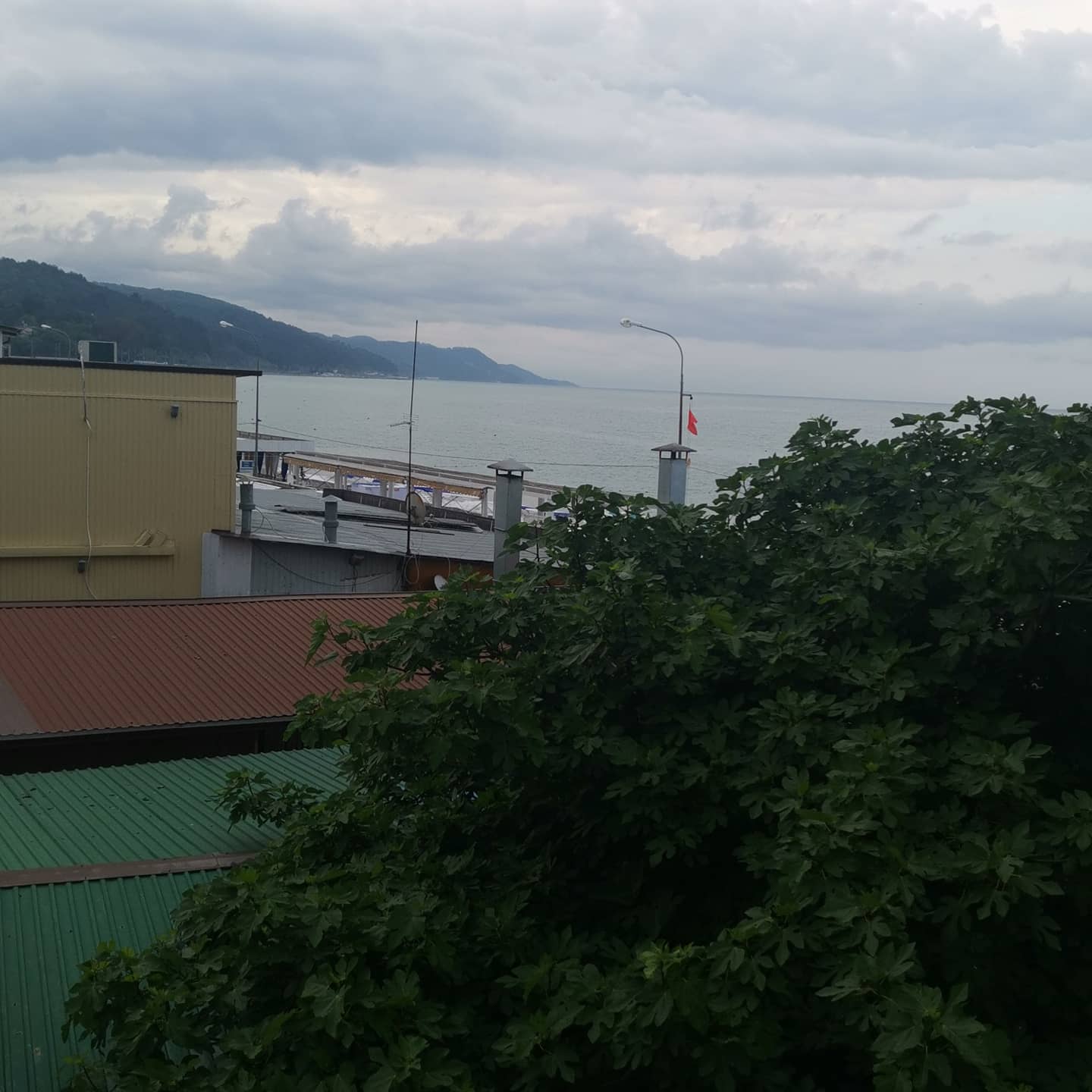 Фото Эллинг 80