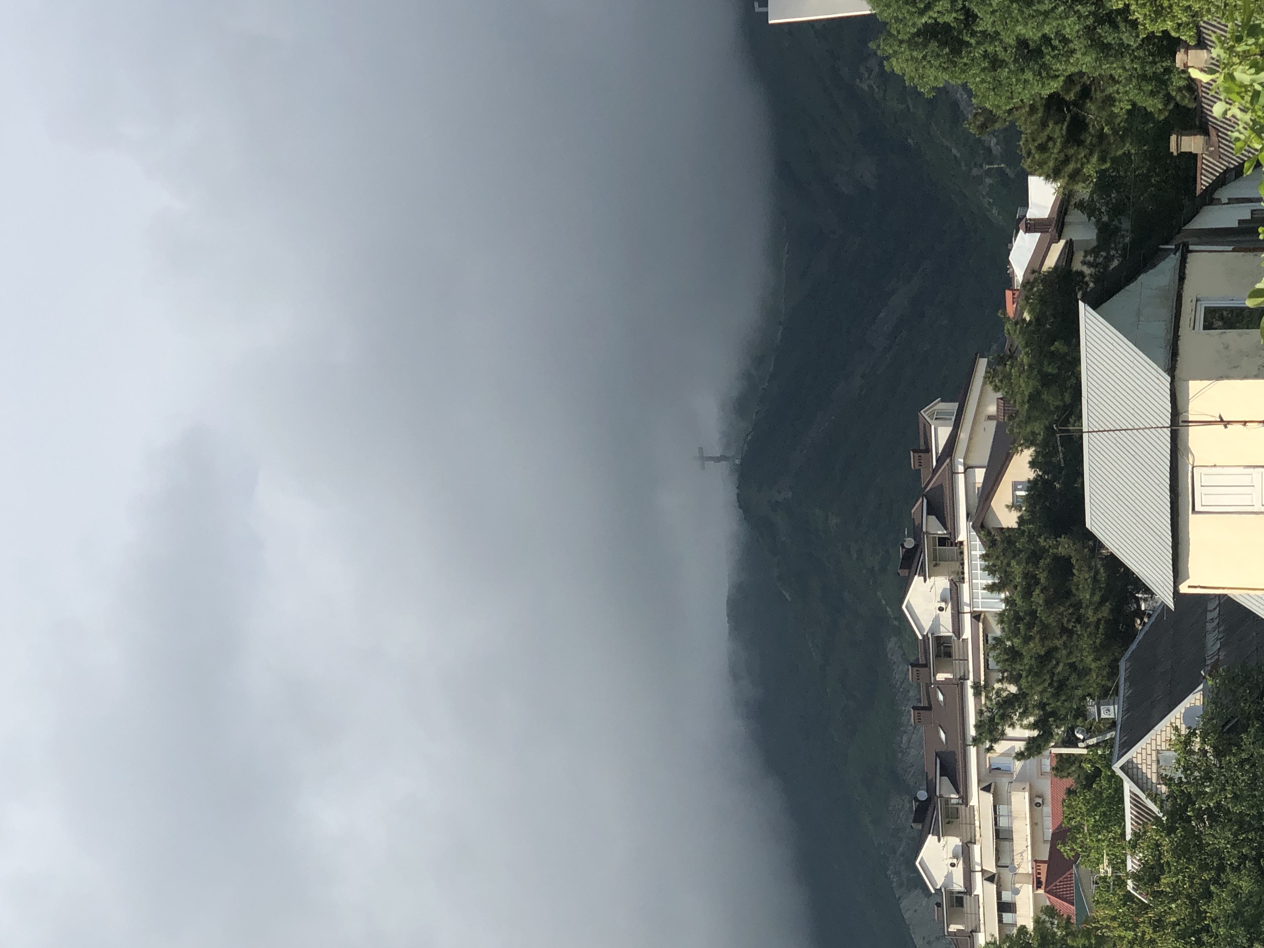 Фото Золотая Роза