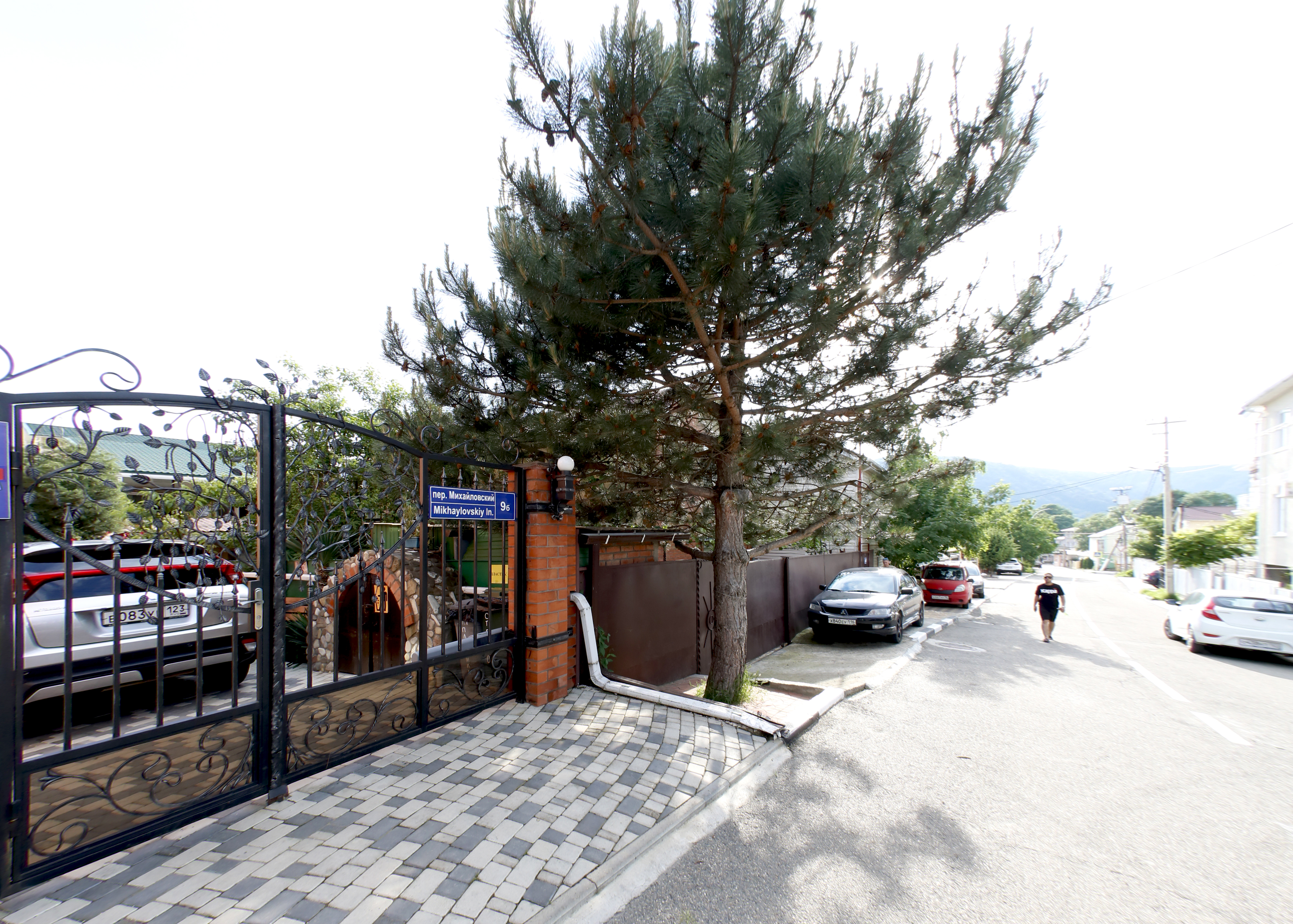 Фото Березы