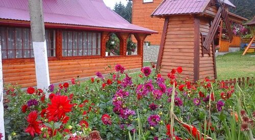 Гостиница Romashka Guest House в Яблонице