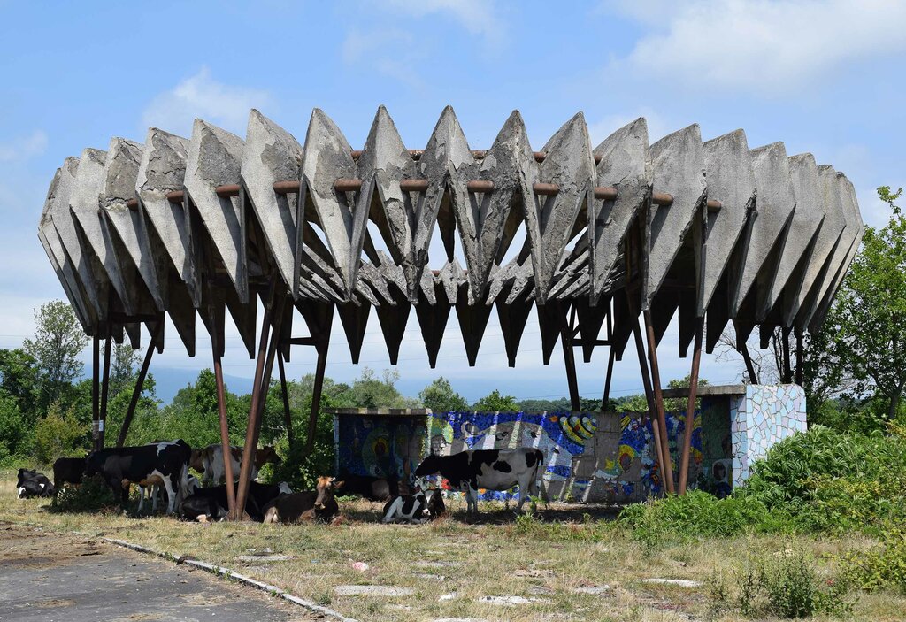 Остановка в абхазии по проекту церетели