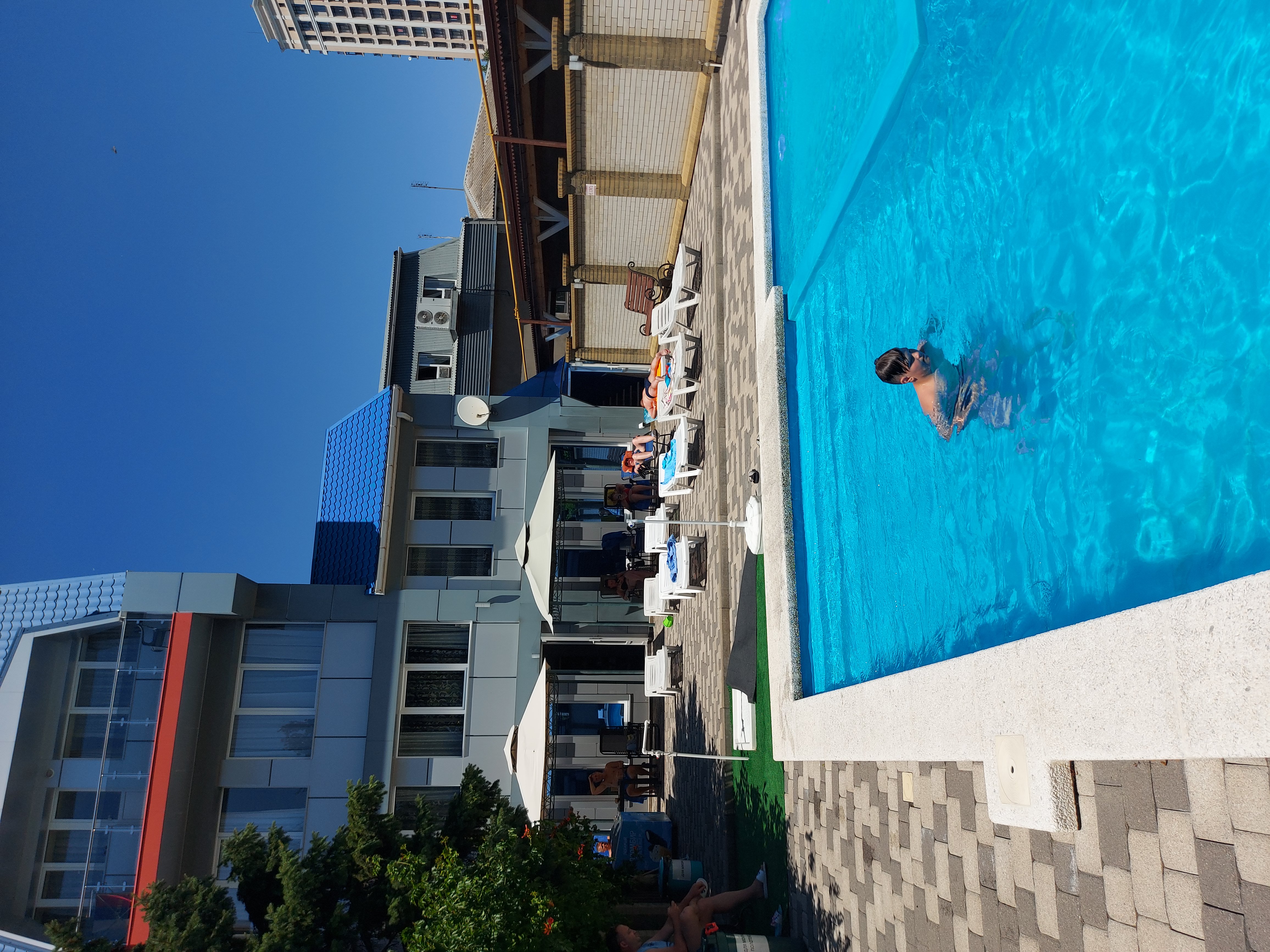 Фото Тополь