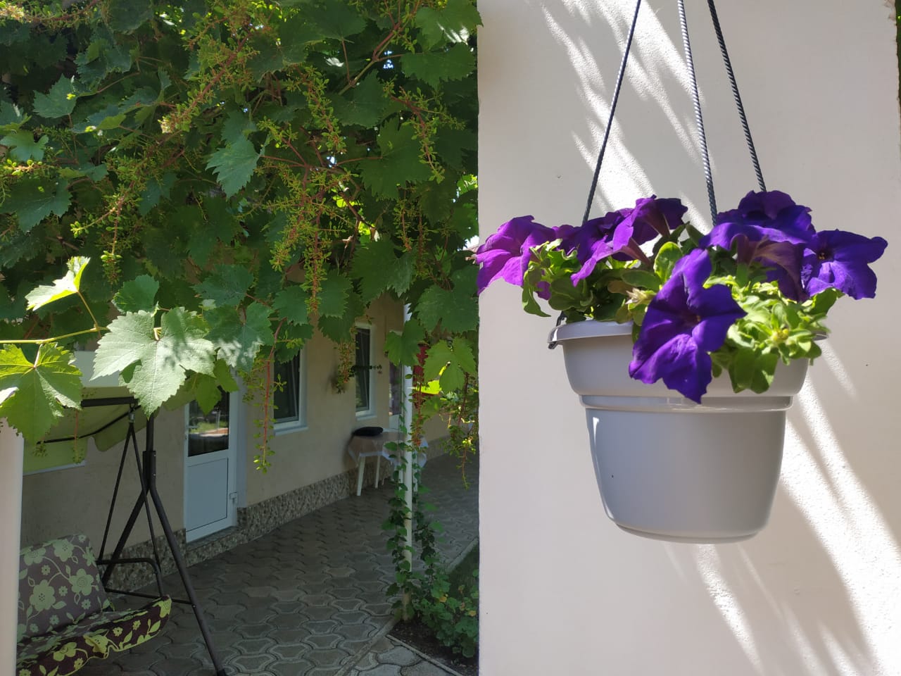 Фото Лонисера