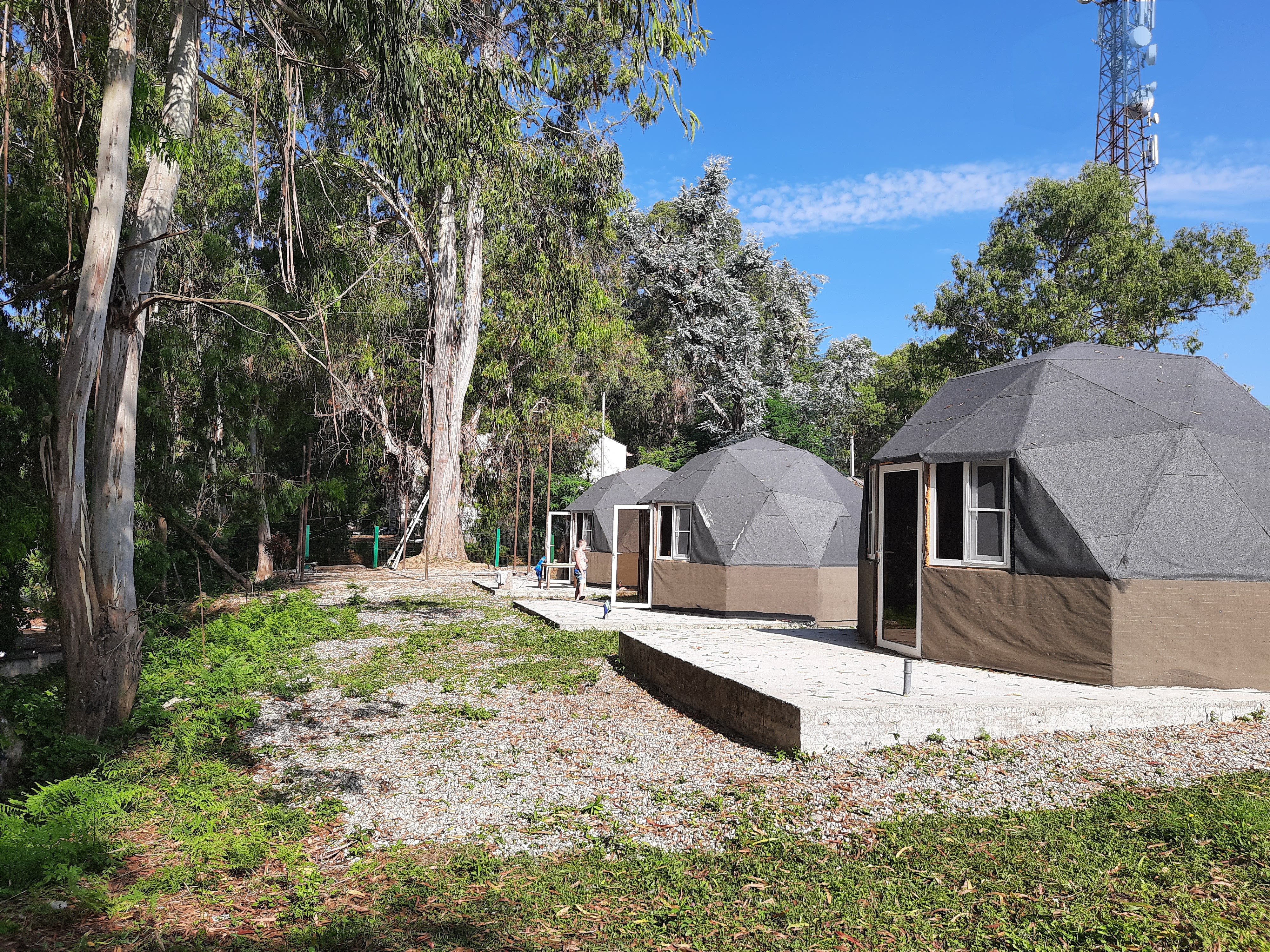 Фото Эвкалиптовая роща