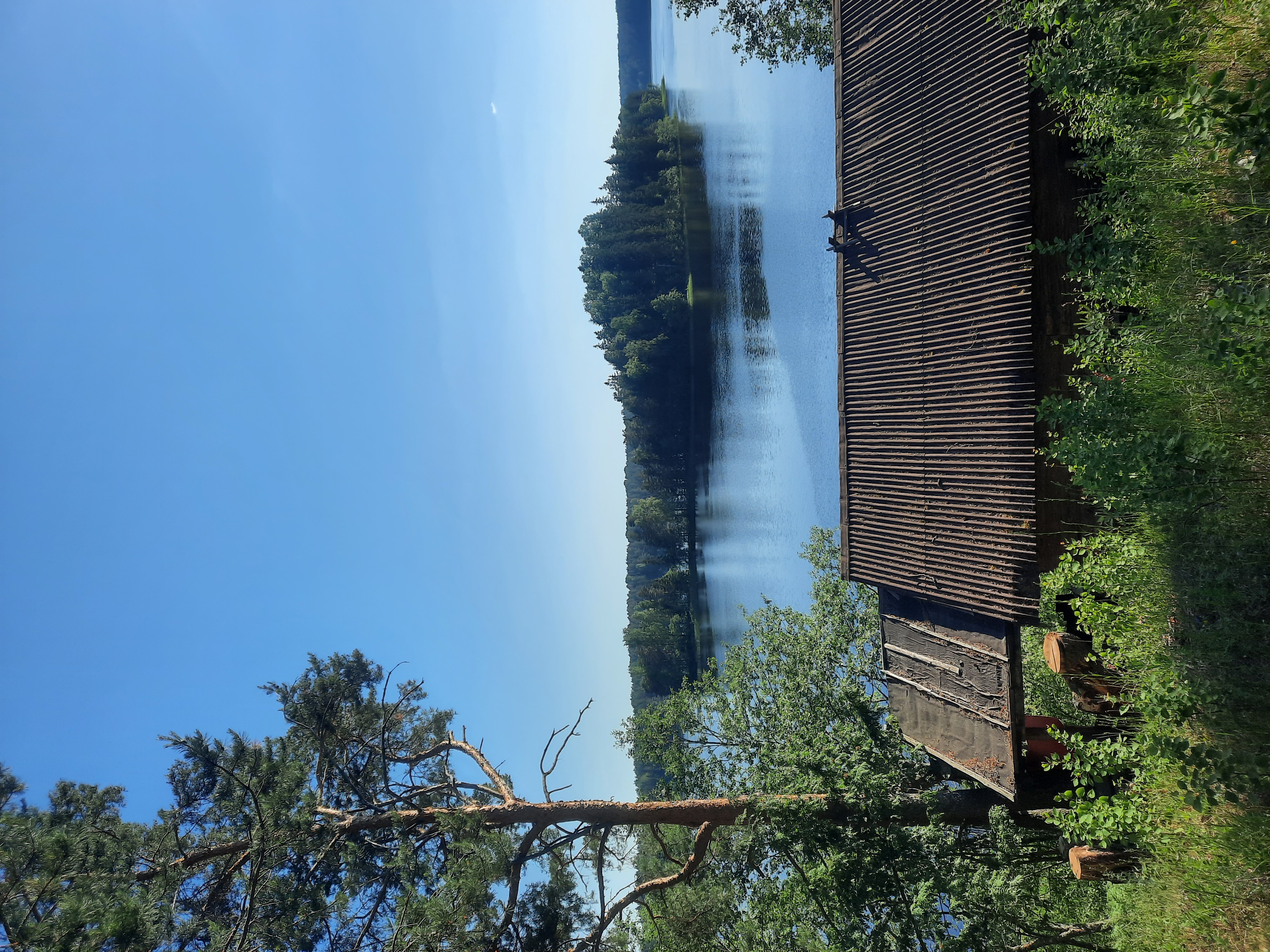 Фото Киногородок