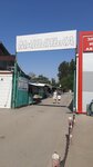 Продуктовый рынок Машенька (ул. Чернышевского, 7А), продуктовый рынок в Ленинске