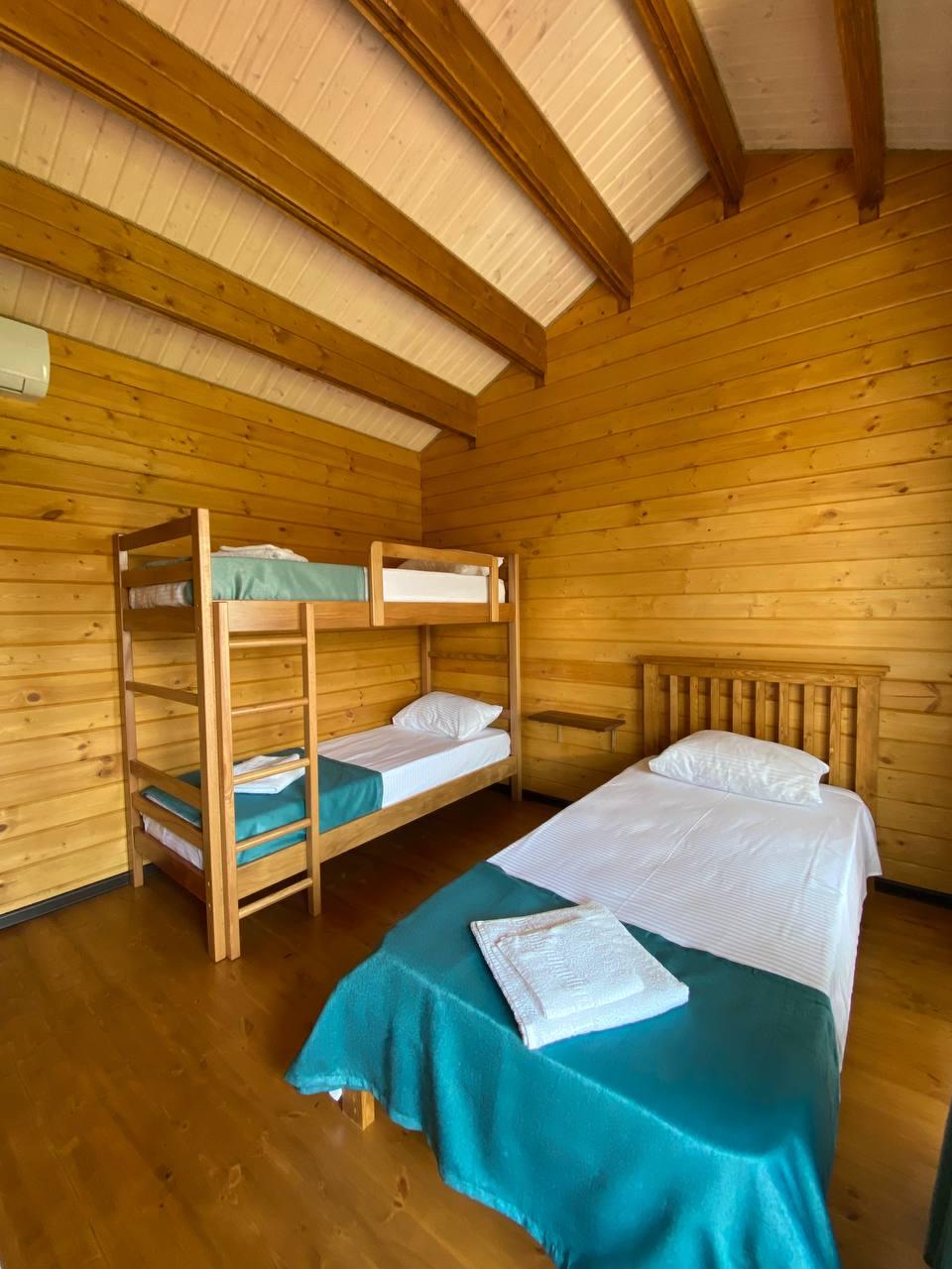 Фото Кактус