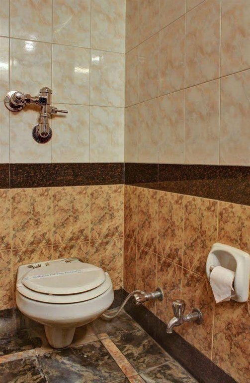 Фото Hotel Pradeep Palace