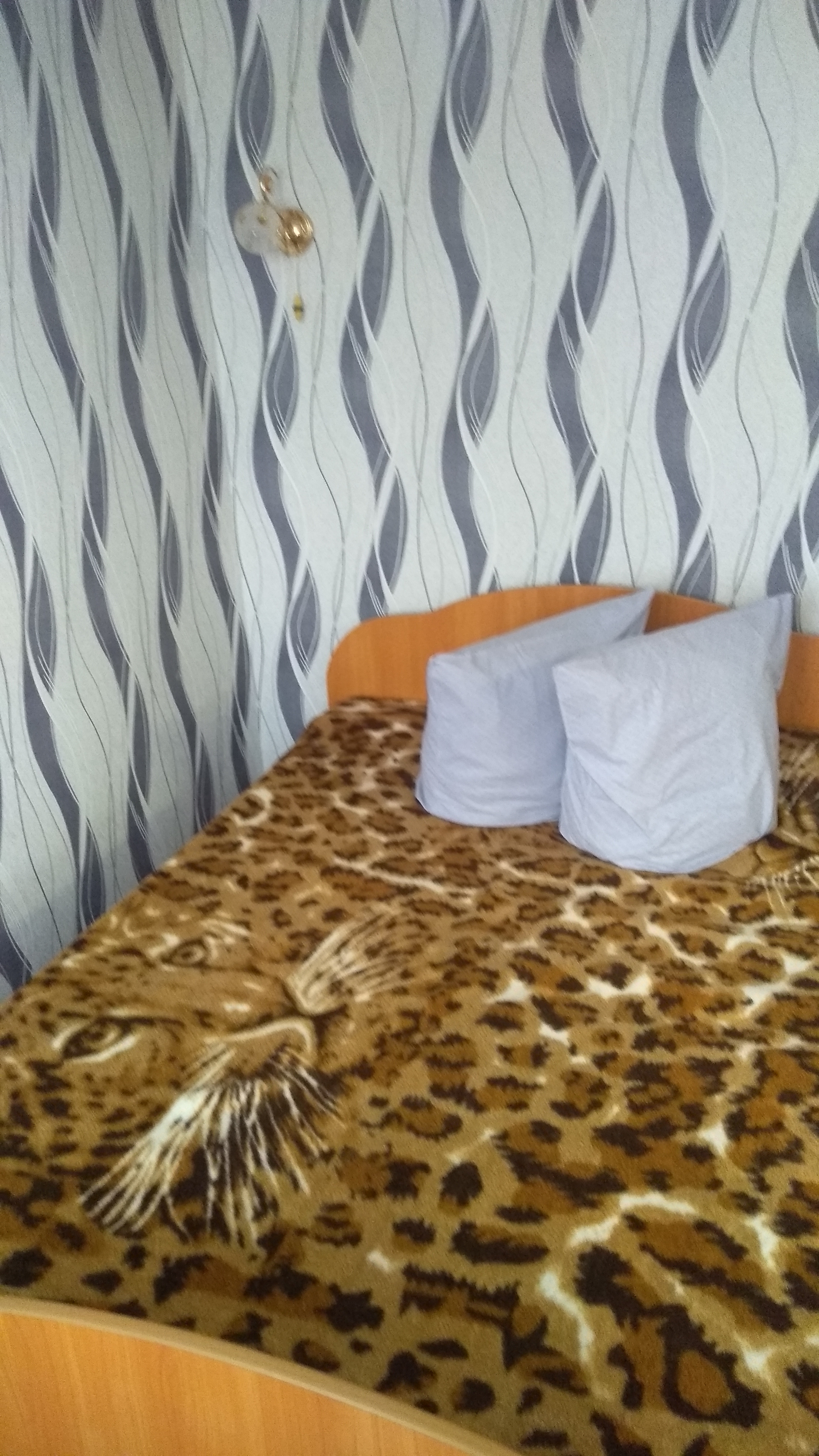 Фото Берёзка