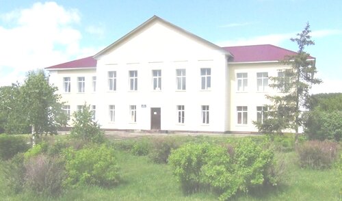Общеобразовательная школа МБОУ Целинная СОШ № 2, Алтайский край, фото