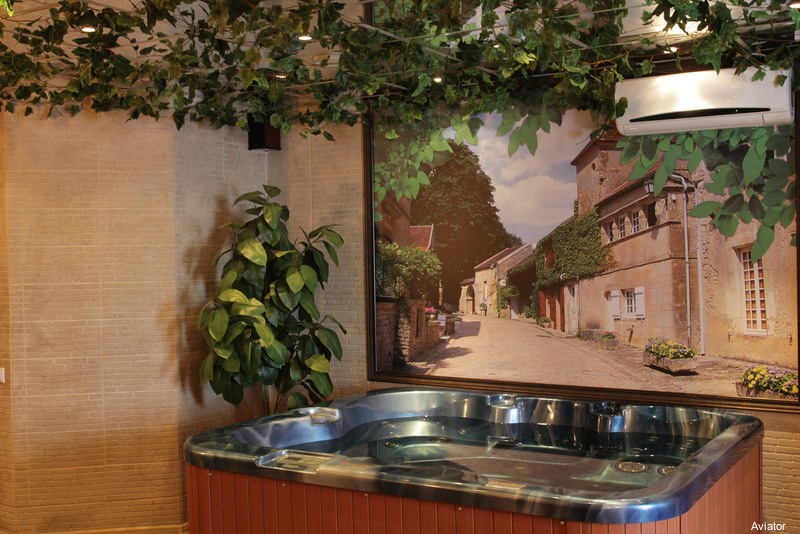 Фото Авиатор