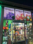 Tsvety i podarki (derevnya Novaya, 38), flower shop