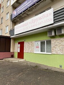 Дружба