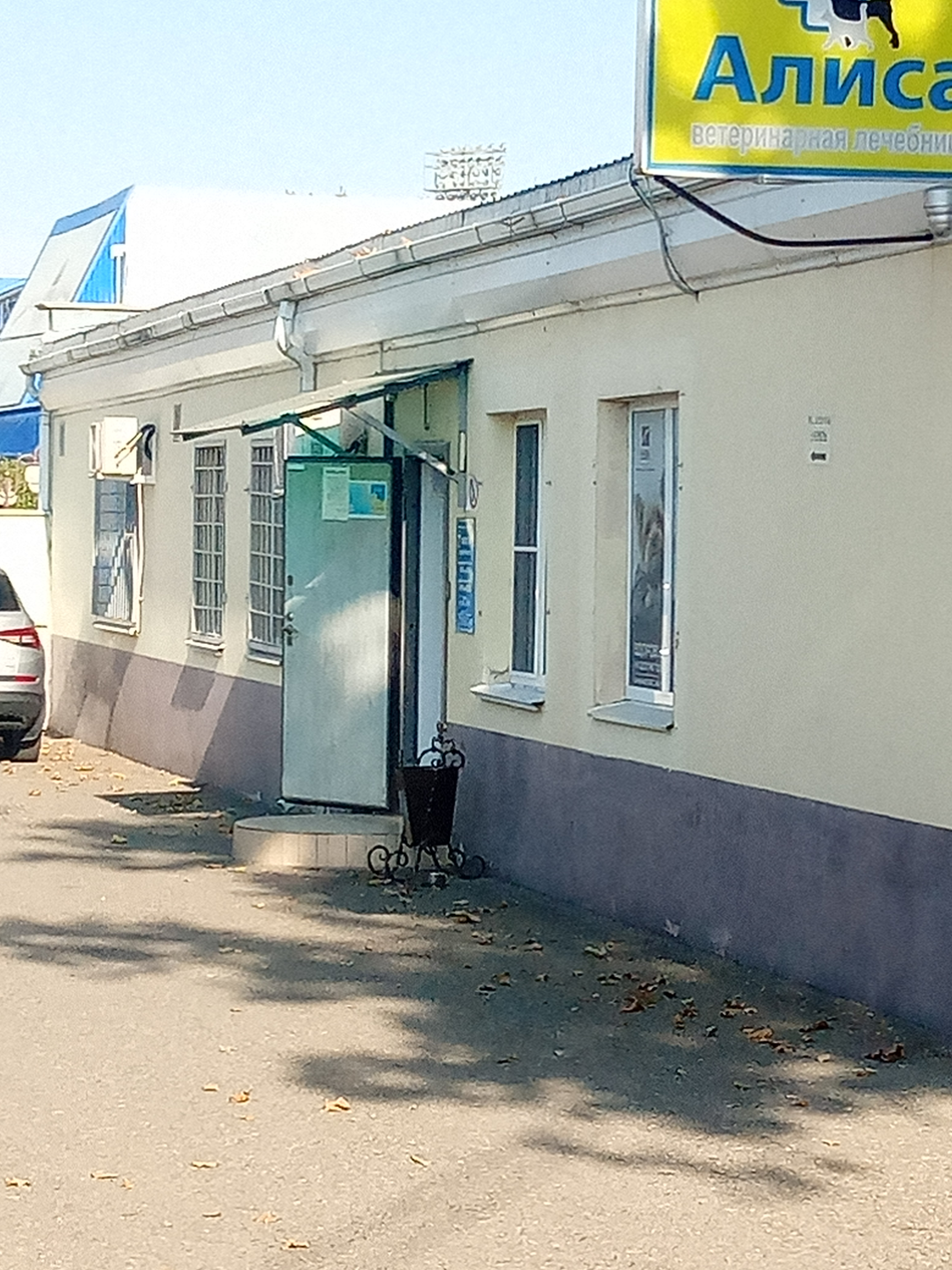 Алиса ул чичерина 91а фото