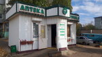 Apteka (Volgograd Region, Kamyshin, ulitsa Bratyev Sorokinykh), pharmacy
