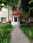 Zarya (Said-Galeeva Street, 3), hostel