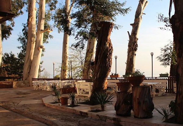 Фото Сказка