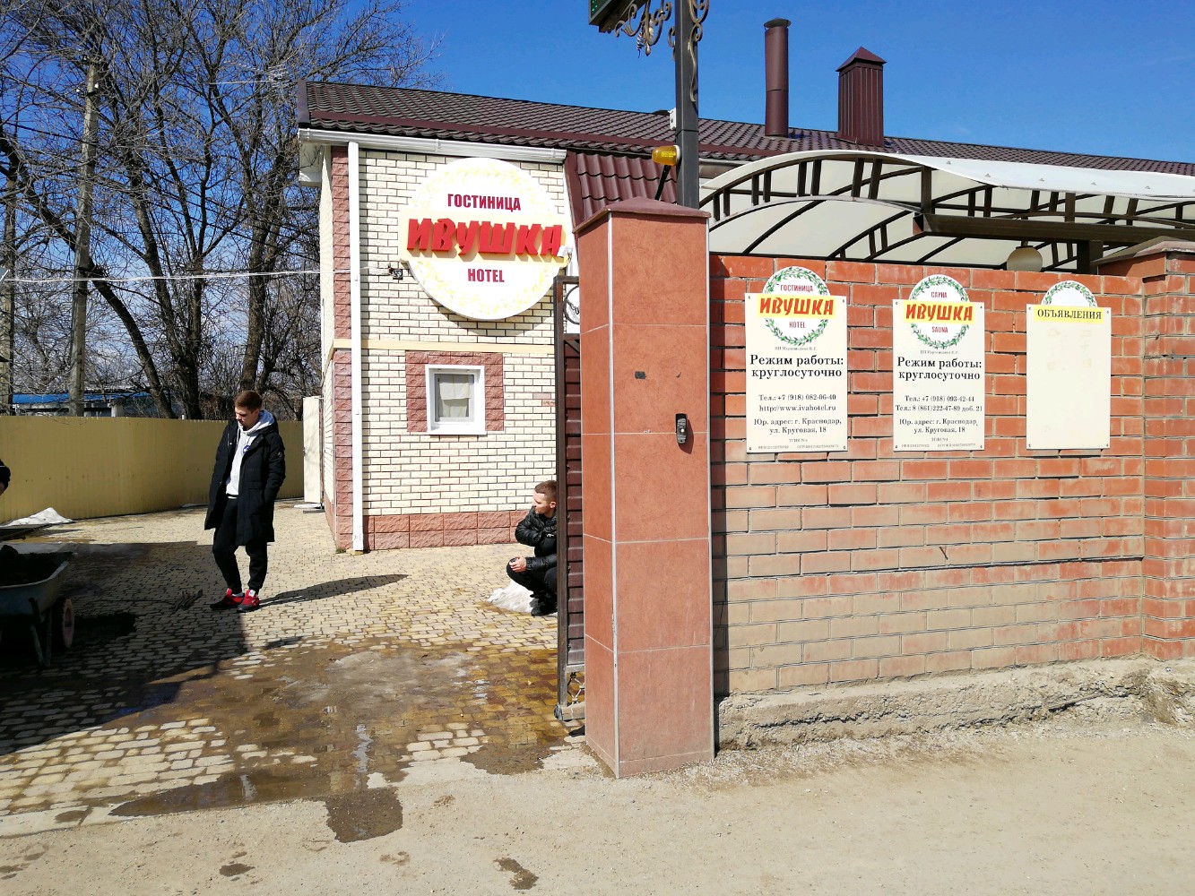 Фото Ивушка