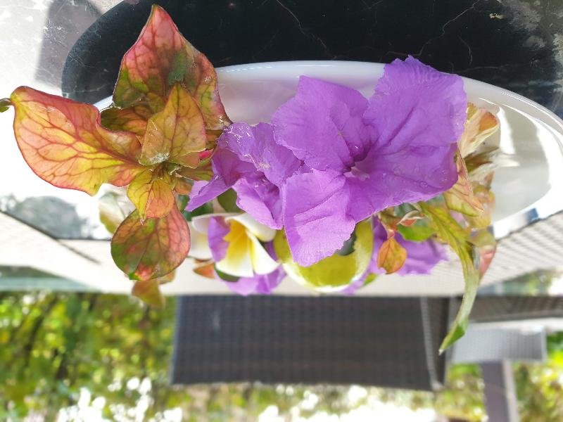 Фото Best Western Plus Zanzibar