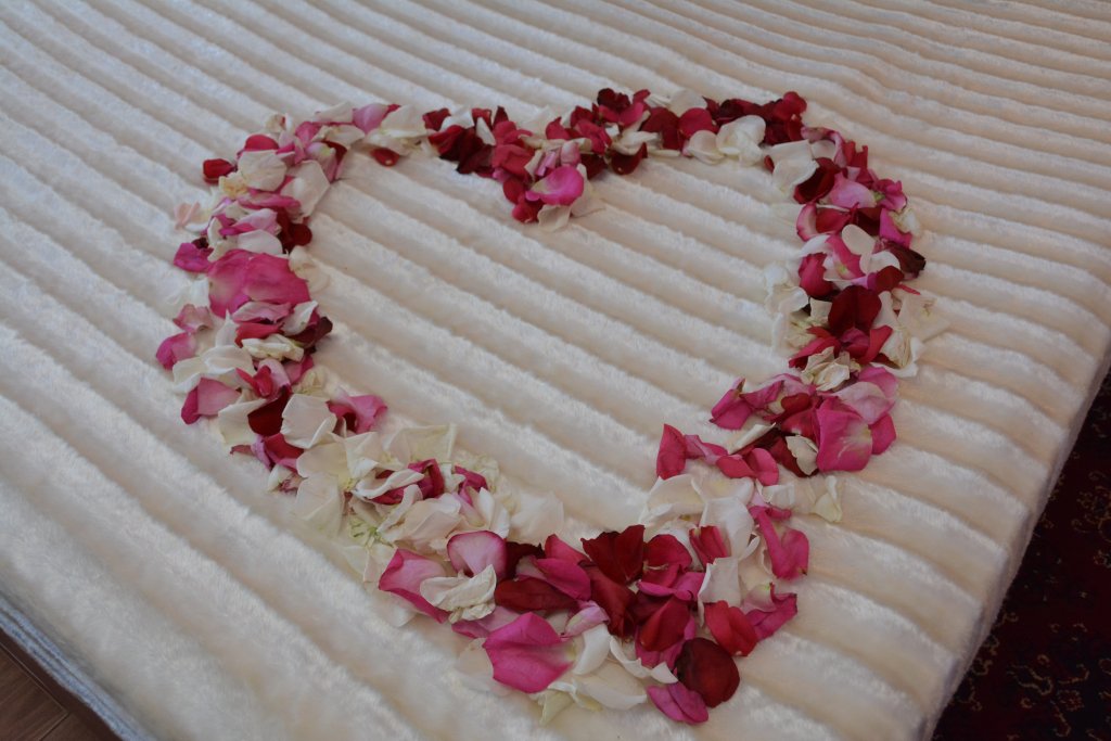 Фото Гостевой домик