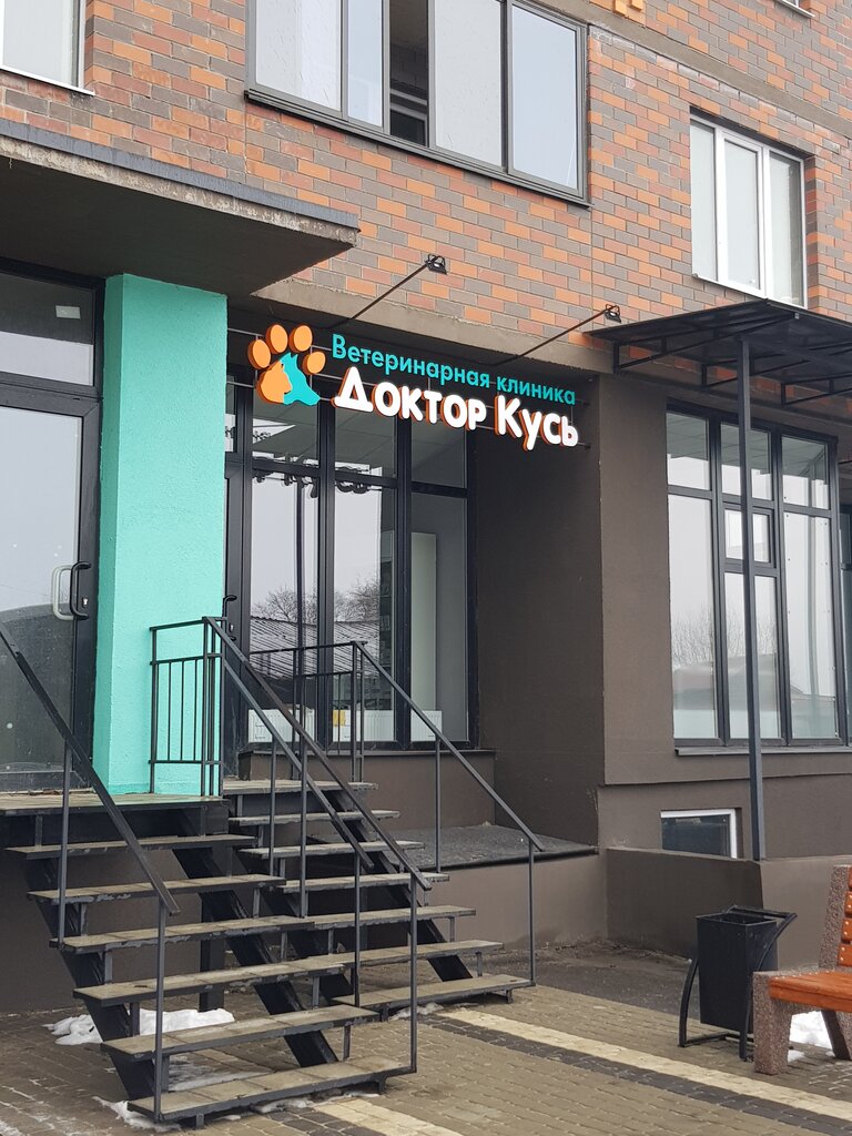 Доктор кусь ул артамонова 4д фото