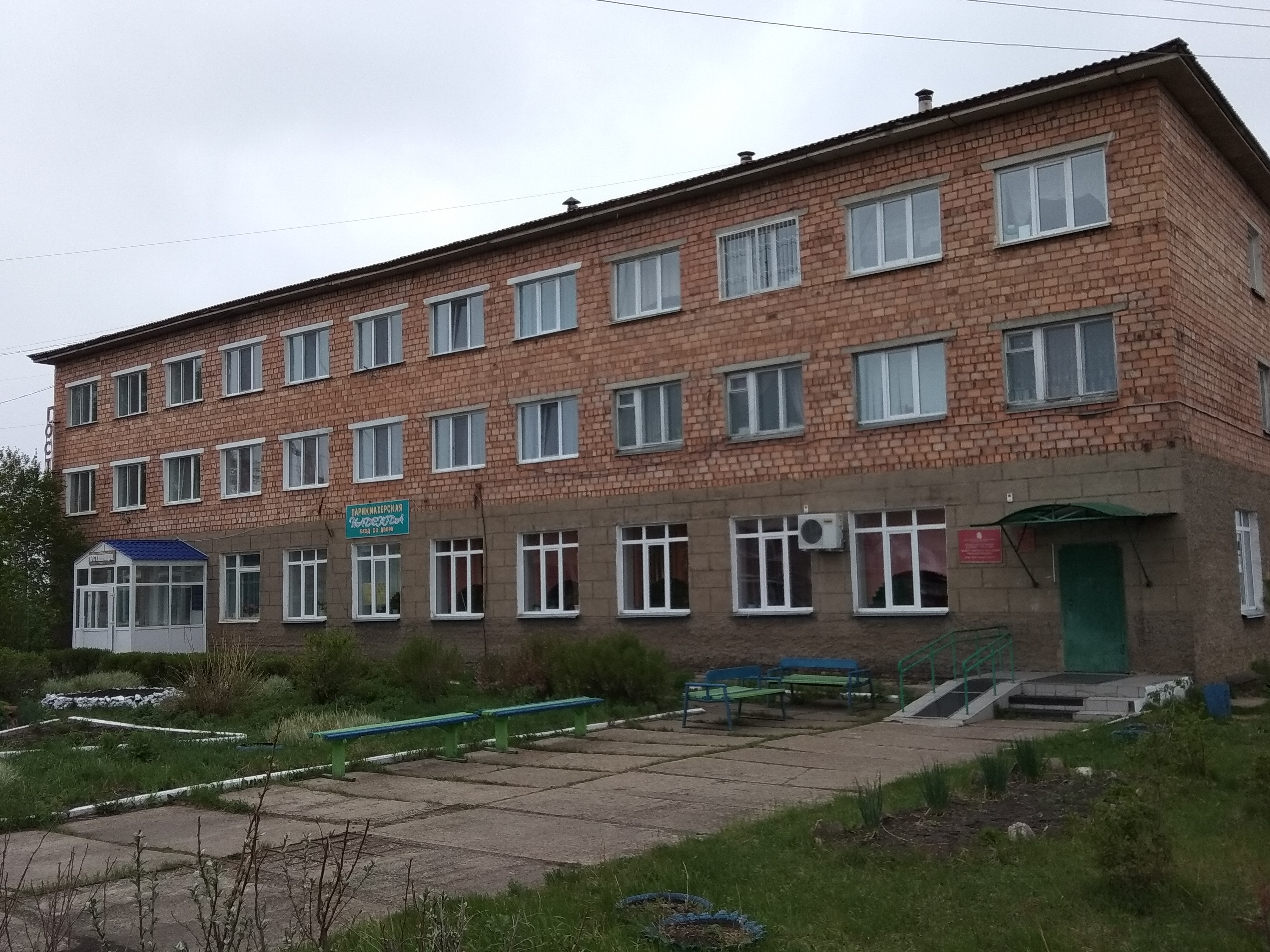 Фото Березка