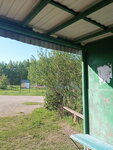 СНТ Бытовик (Lipetsk Region, Dobrovskiy munitsipalny okrug, SNT Bytovik, Vinogradnaya ulitsa), parada de transporte público