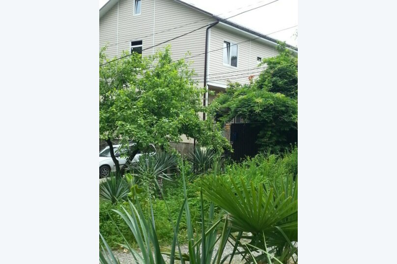 Фото Фазенда