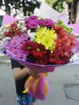 Цветы (Советская ул., 13, п. г. т. Симеиз), магазин цветов в Республике Крым