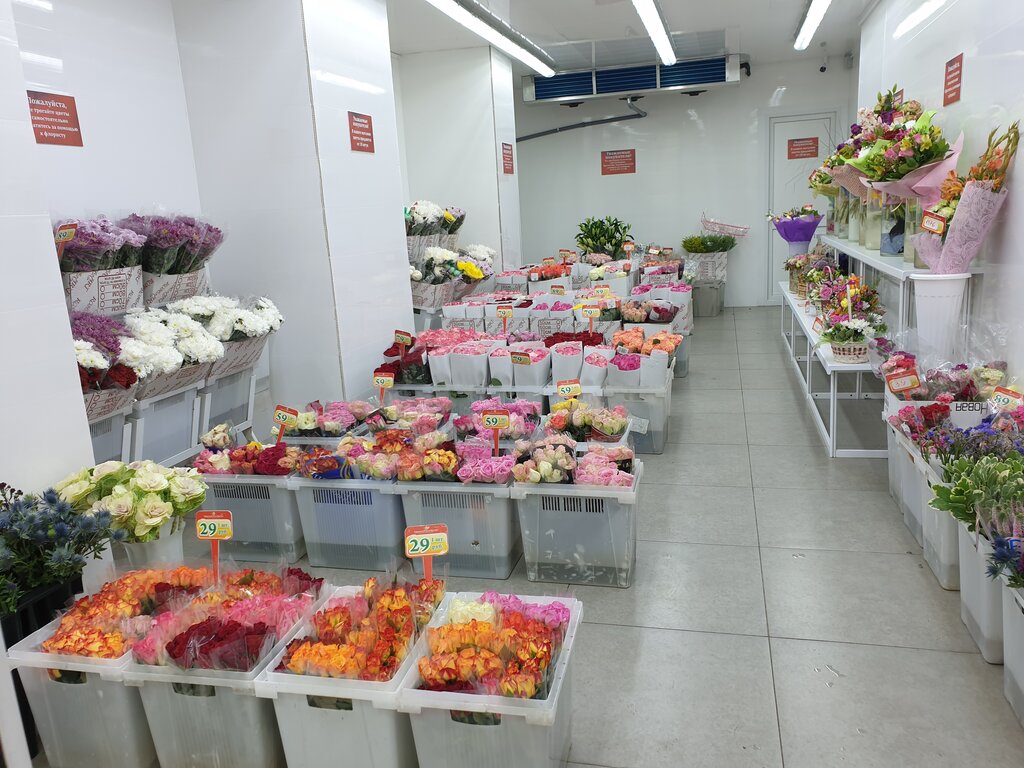 магазин цветов королев