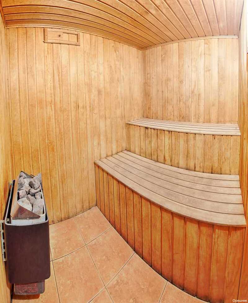 Фото Орешник