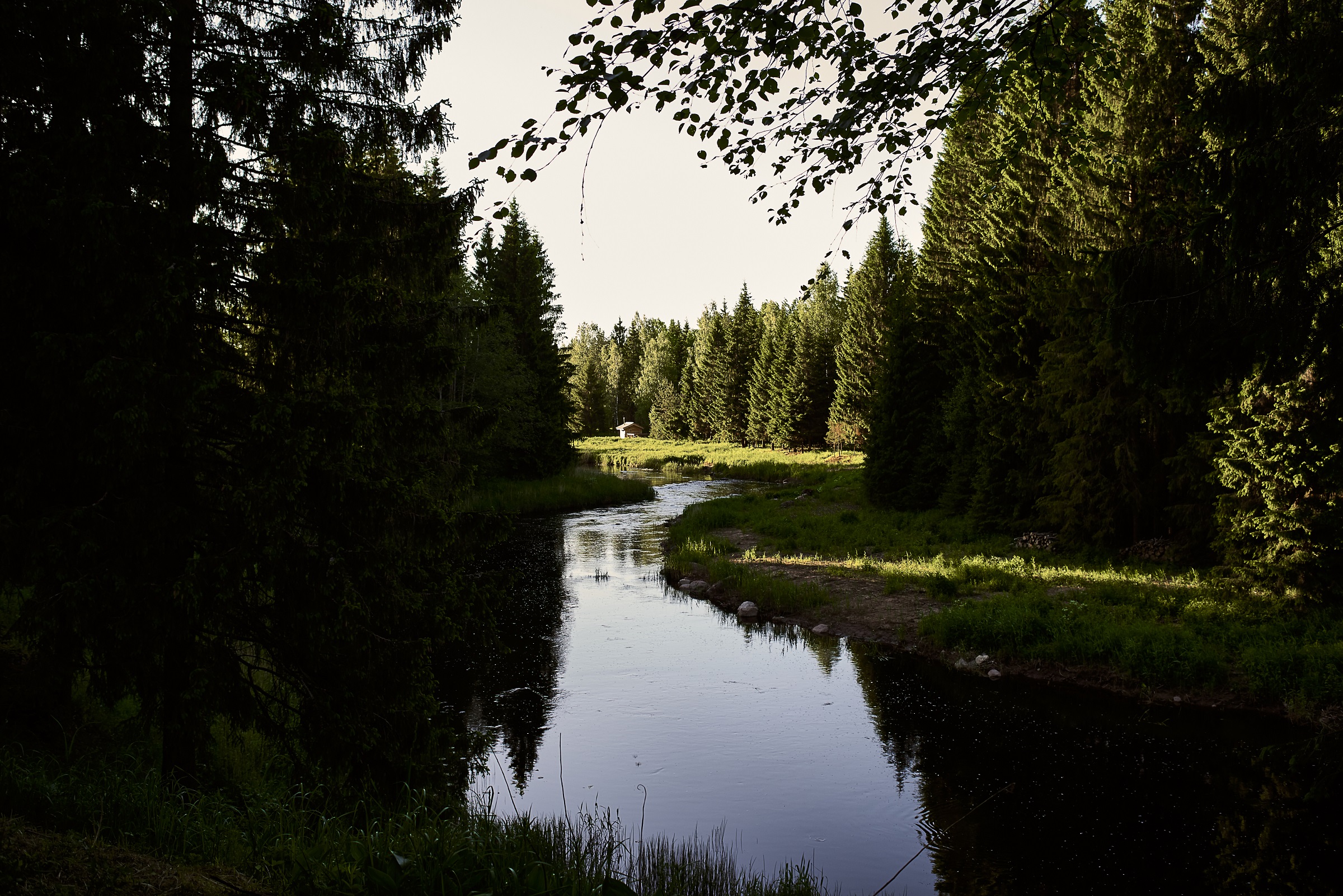 Фото Мазаная Горка