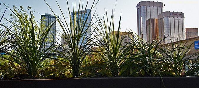 Фото Nuvo Hotel Suites