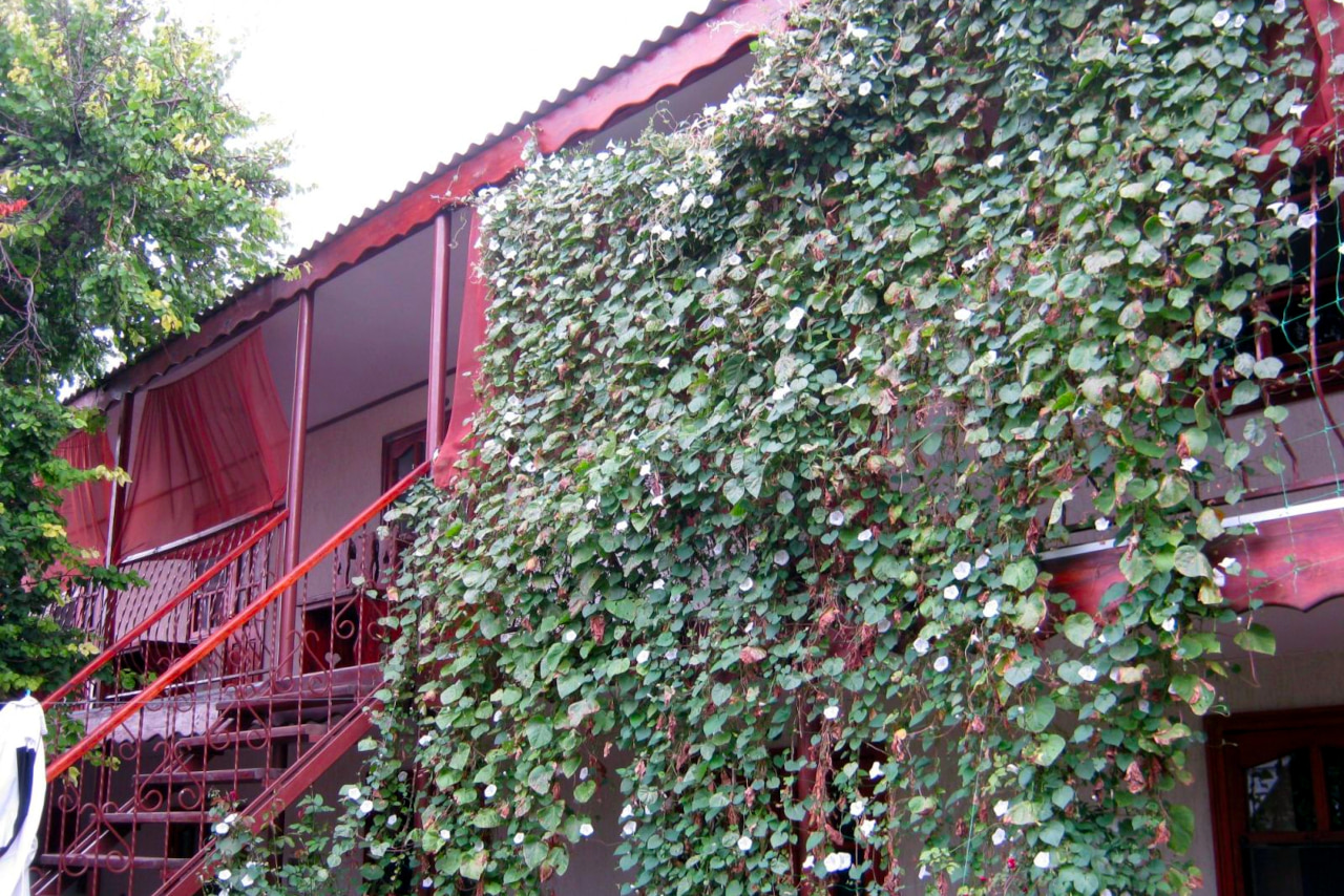 Фото У Людмилы