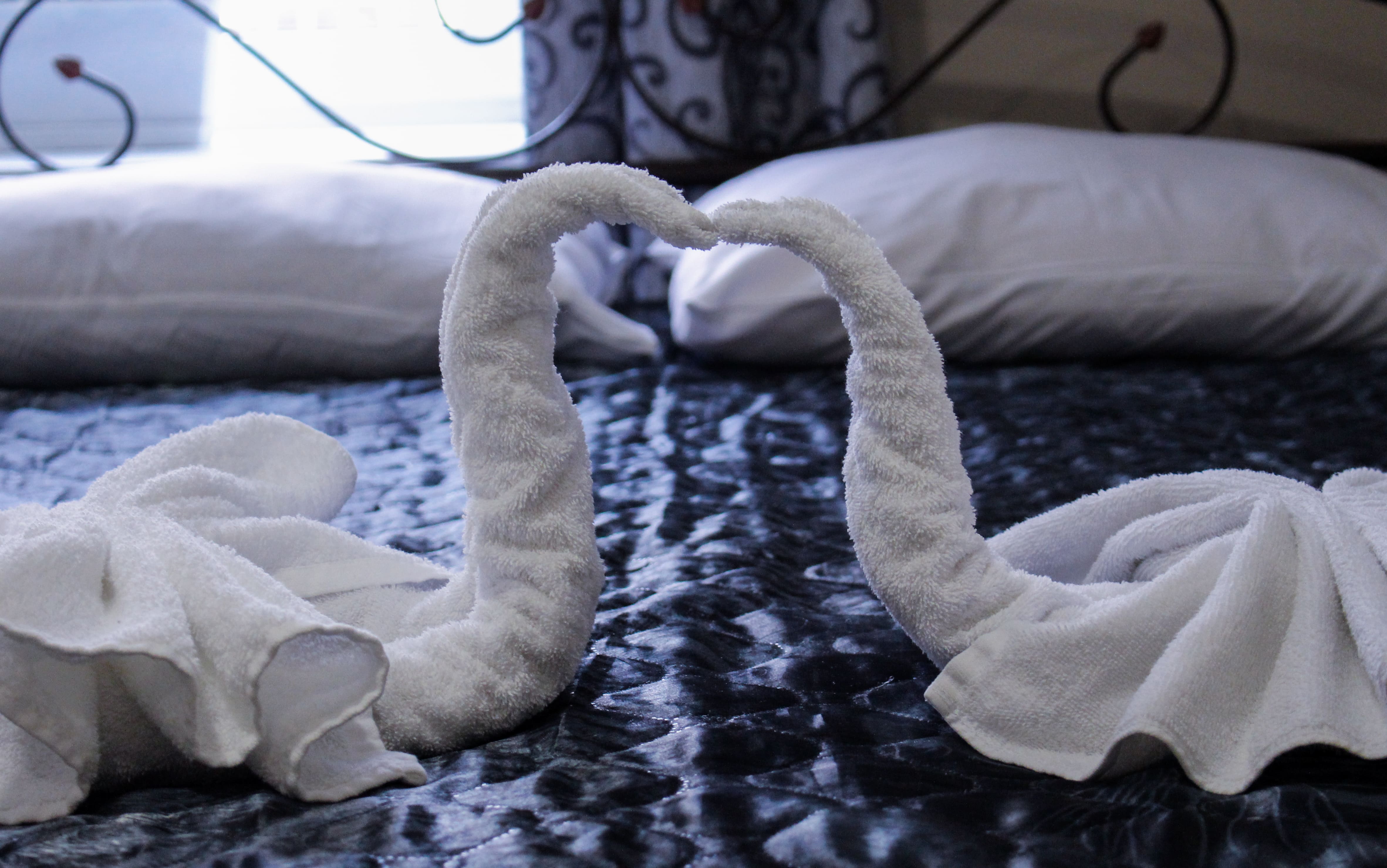 Фото Компас