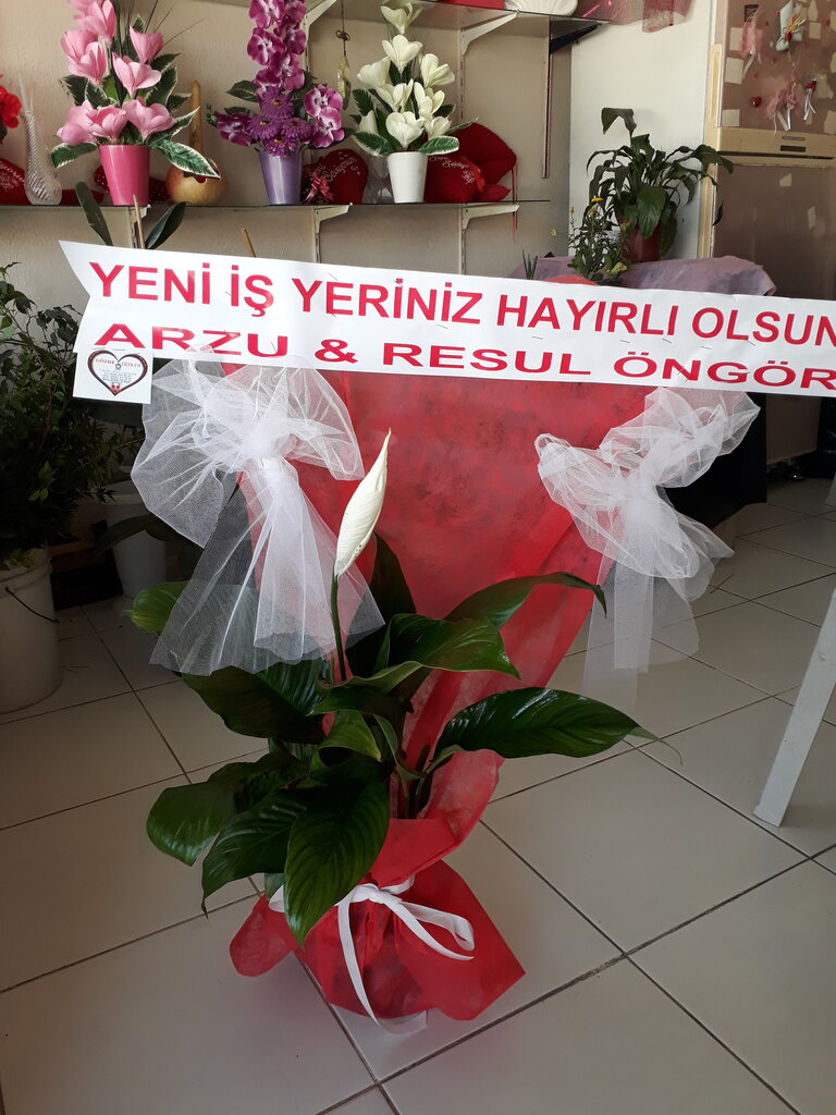 Flower shop Gözde Çiçek Evi, Erzin, photo