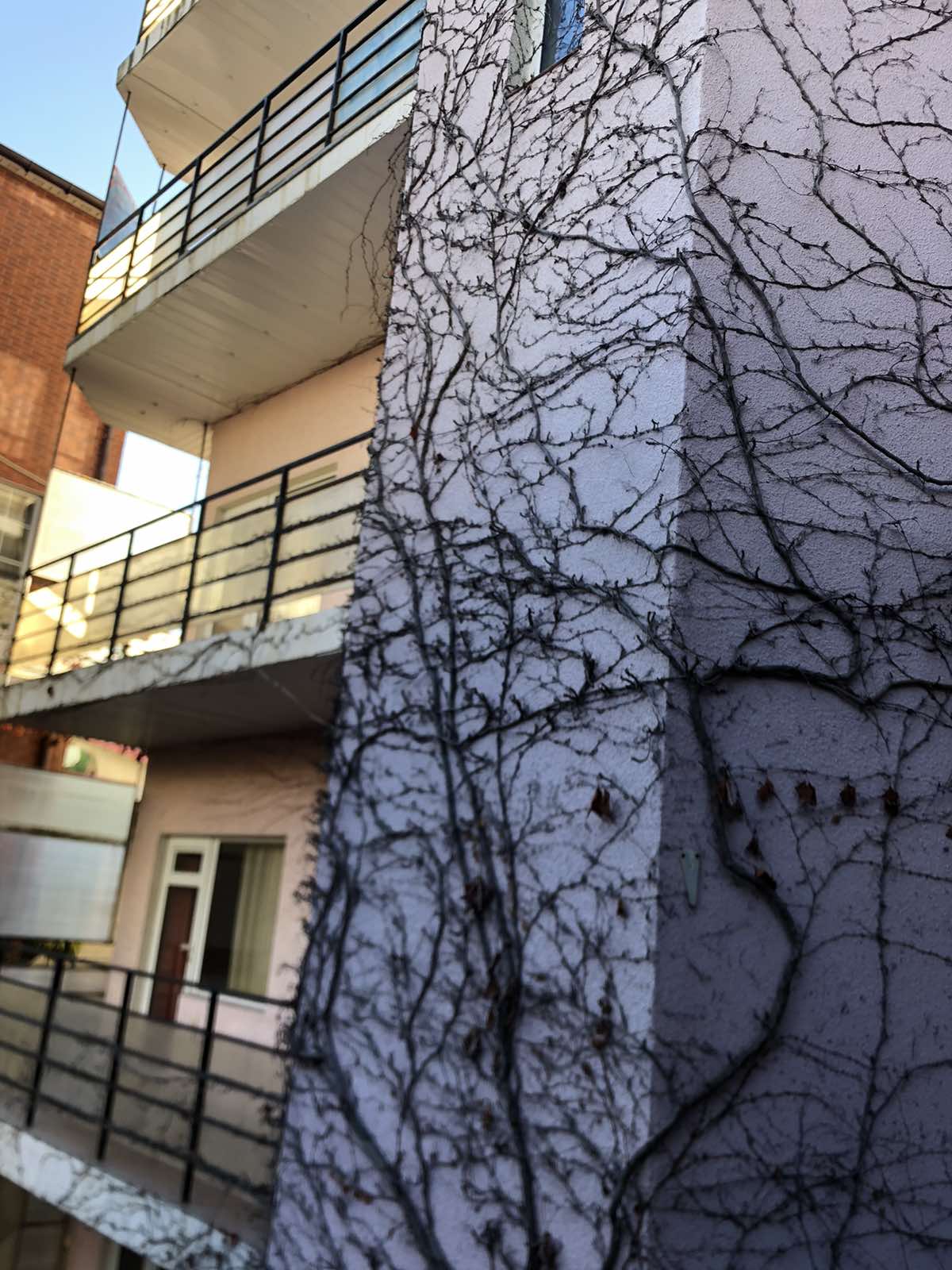 Фото Утёс-Арт