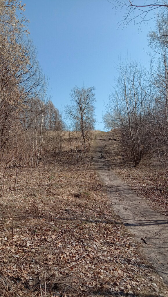 Mountain peak Лысая горка, Ulyanovsk, photo