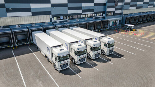 Африкалық әйелдер мен жабайы тайпалар бейнеленген онлайн порнографиялық фильмдер