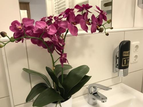 Фото Haunstetter Hof