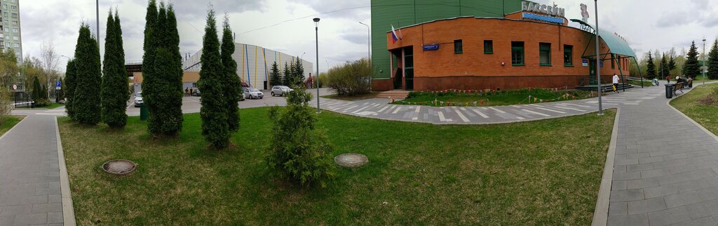 Swimming pool Академия фигурного катания на коньках, Moscow, photo